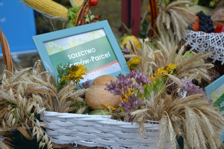  Święto Chleba w Radziejowicach z ekologicznym przesłaniem 