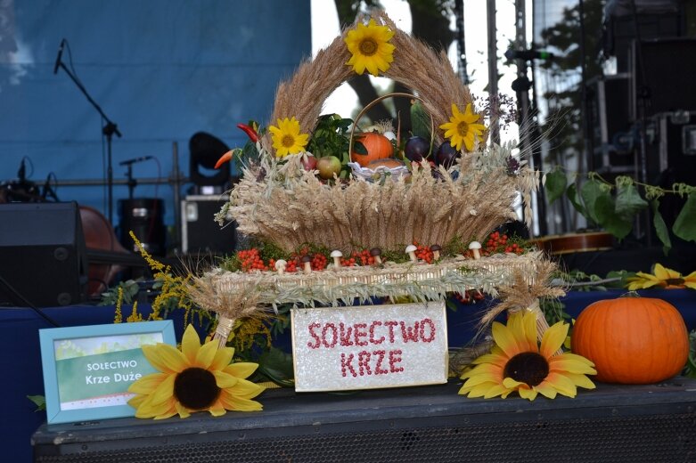  Święto Chleba w Radziejowicach z ekologicznym przesłaniem 