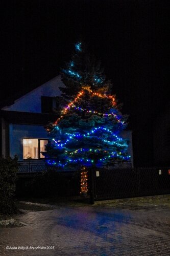  Święta Bożego Narodzenia 2025. Skierniewice i Okolica 