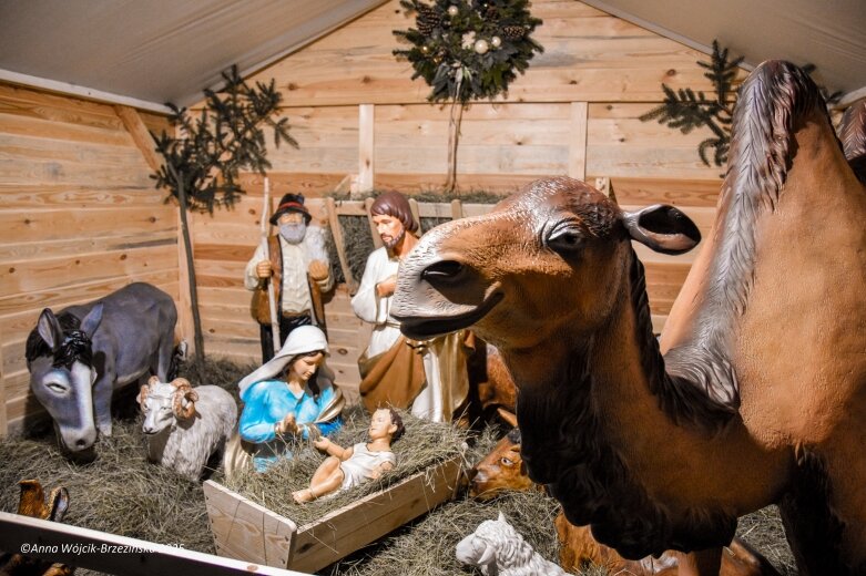  Święta Bożego Narodzenia 2025. Skierniewice i Okolica 