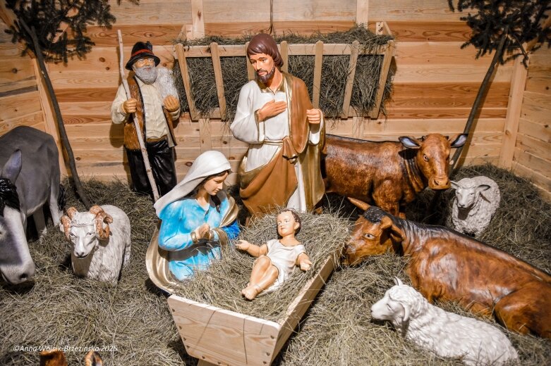  Święta Bożego Narodzenia 2025. Skierniewice i Okolica 