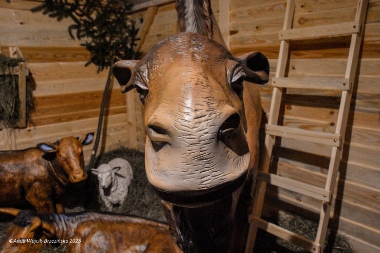  Święta Bożego Narodzenia 2025. Skierniewice i Okolica 