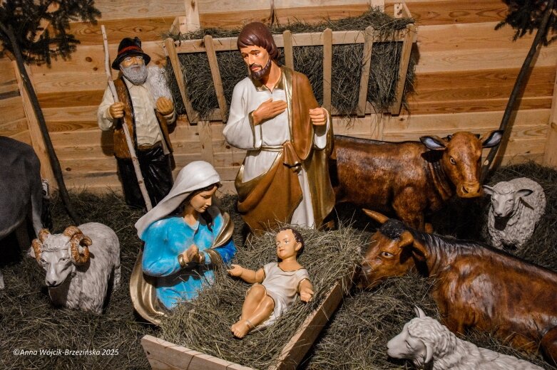  Święta Bożego Narodzenia 2025. Skierniewice i Okolica 