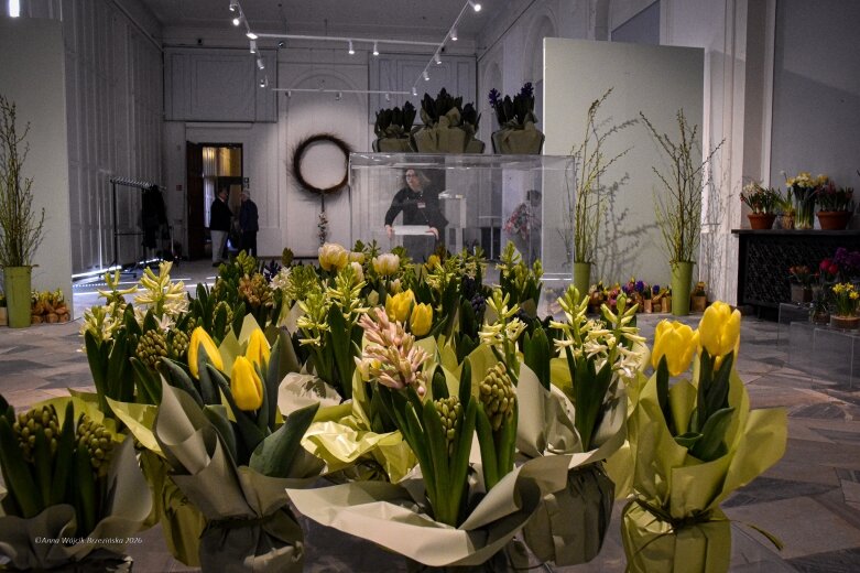  Trzy damy wśród tulipanów. Wilanów zakwitł, Skierniewice wybrzmiały 