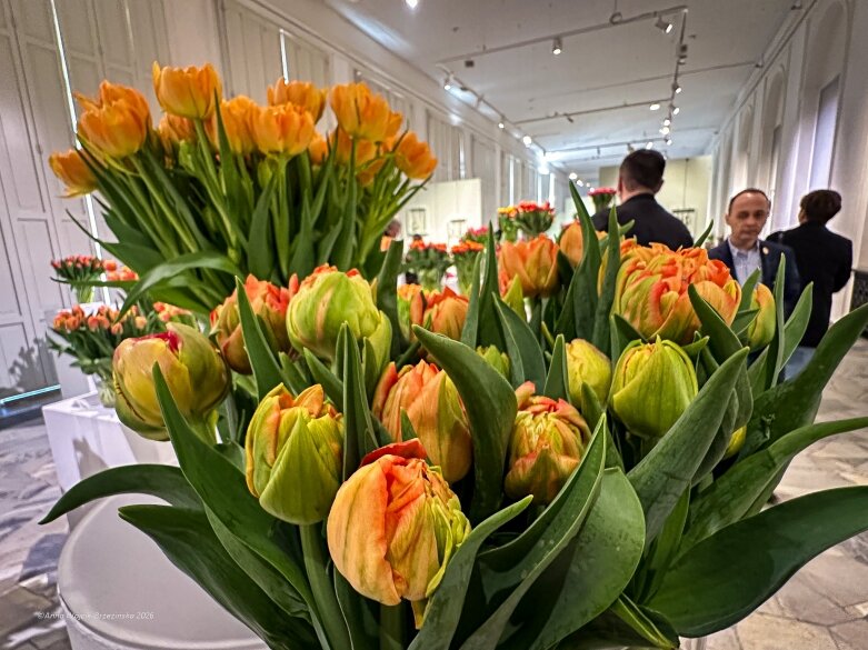  Trzy damy wśród tulipanów. Wilanów zakwitł, Skierniewice wybrzmiały 