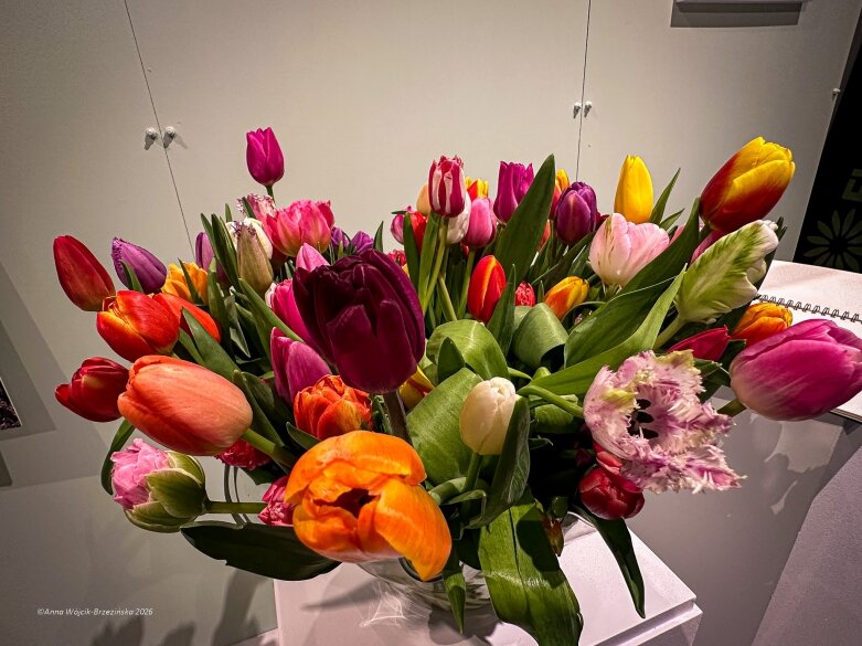  Trzy damy wśród tulipanów. Wilanów zakwitł, Skierniewice wybrzmiały 