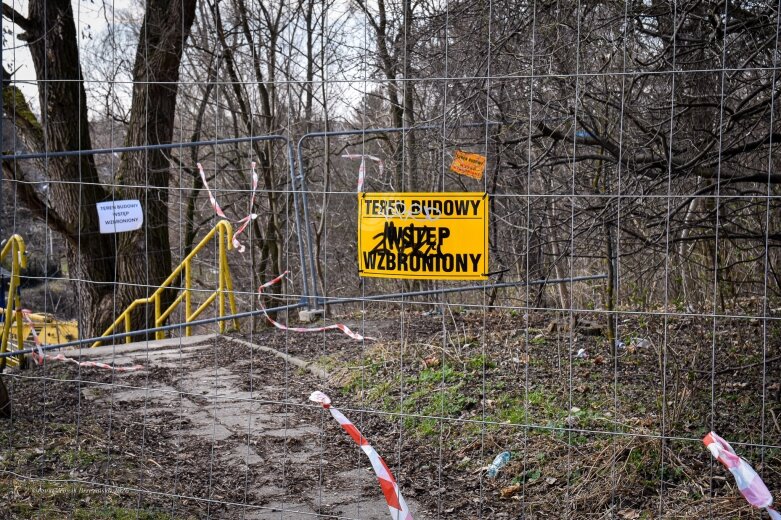  Skierniewice budują połączenie parku z Zadębiem. Wycinka drzew, kładka i termin zakończenia inwestycji 