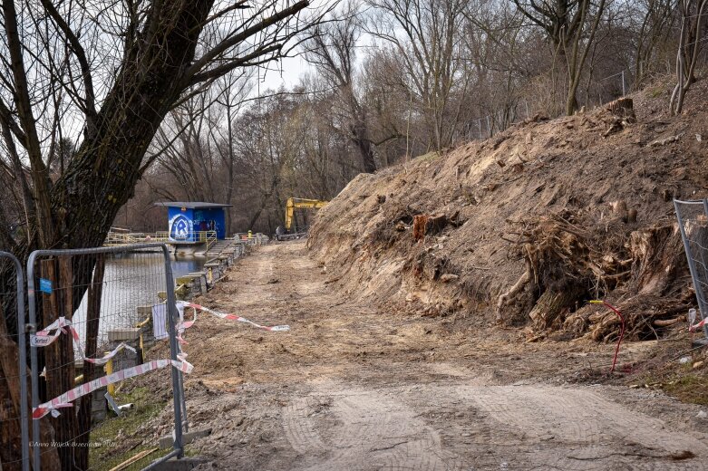  Skierniewice budują połączenie parku z Zadębiem. Wycinka drzew, kładka i termin zakończenia inwestycji 
