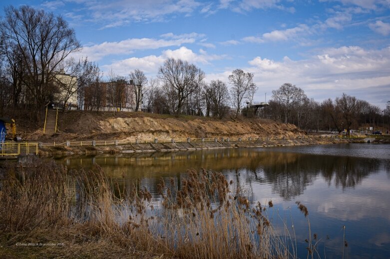  Skierniewice budują połączenie parku z Zadębiem. Wycinka drzew, kładka i termin zakończenia inwestycji 