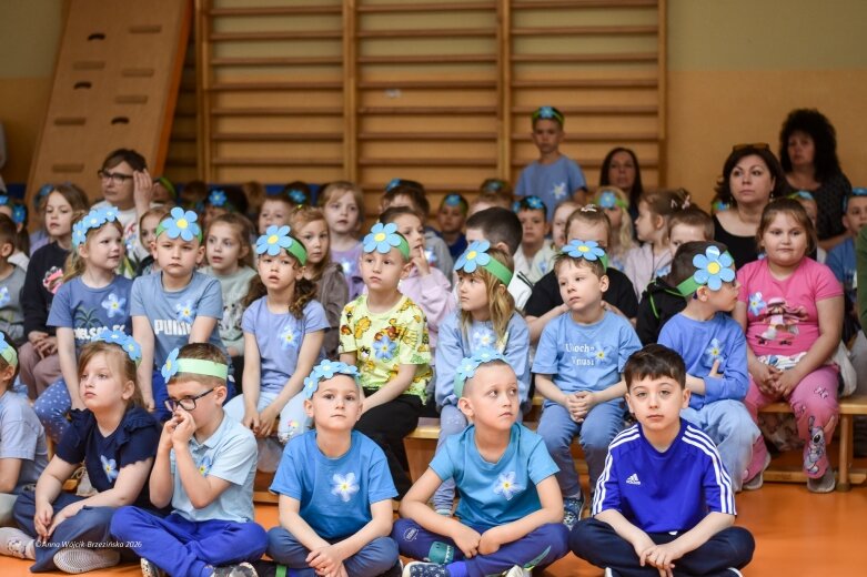  15 maja. Dzień Niezapominajki 