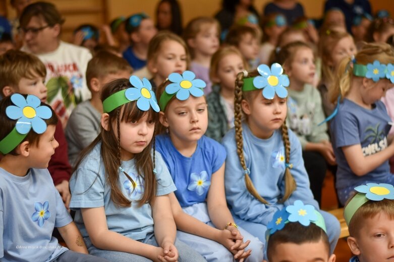  15 maja. Dzień Niezapominajki 