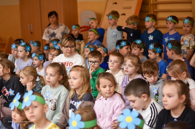  15 maja. Dzień Niezapominajki 