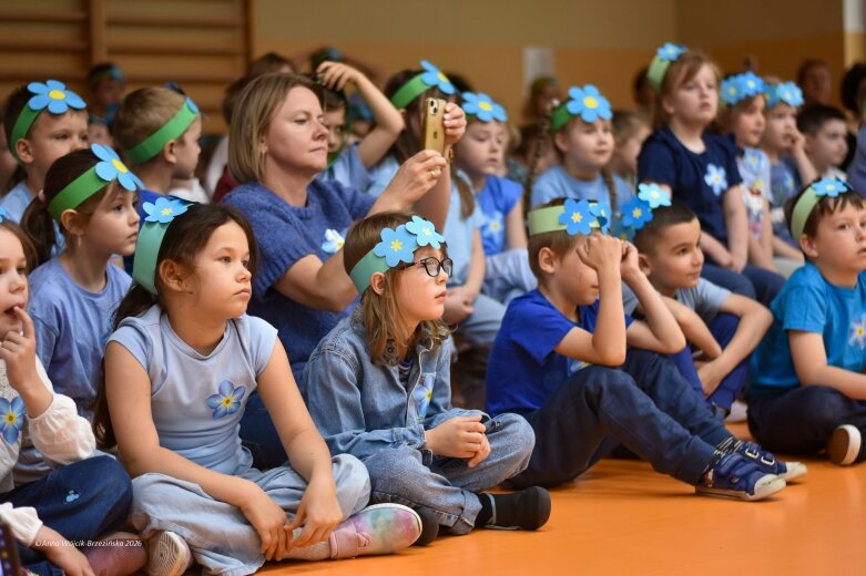  15 maja. Dzień Niezapominajki 