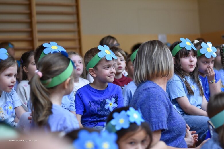  15 maja. Dzień Niezapominajki 