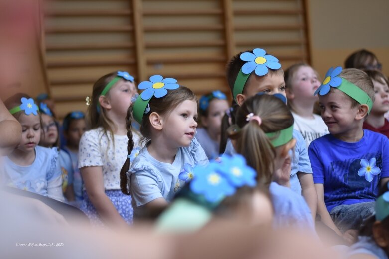  15 maja. Dzień Niezapominajki 