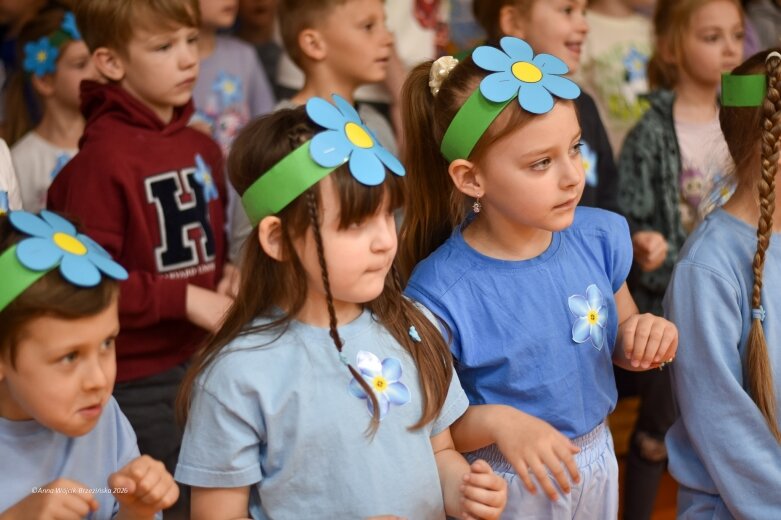  15 maja. Dzień Niezapominajki 