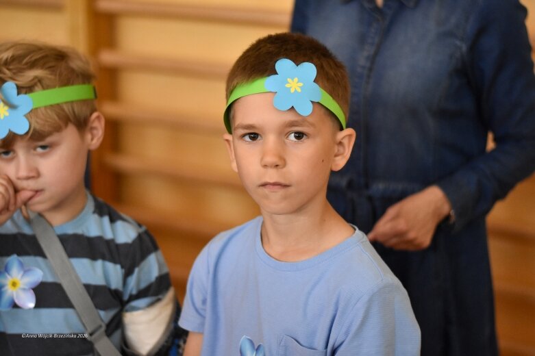  15 maja. Dzień Niezapominajki 
