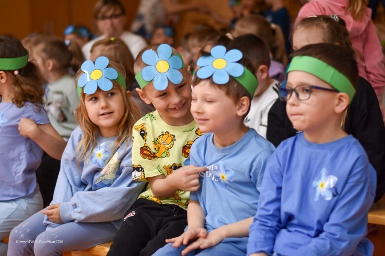  15 maja. Dzień Niezapominajki 