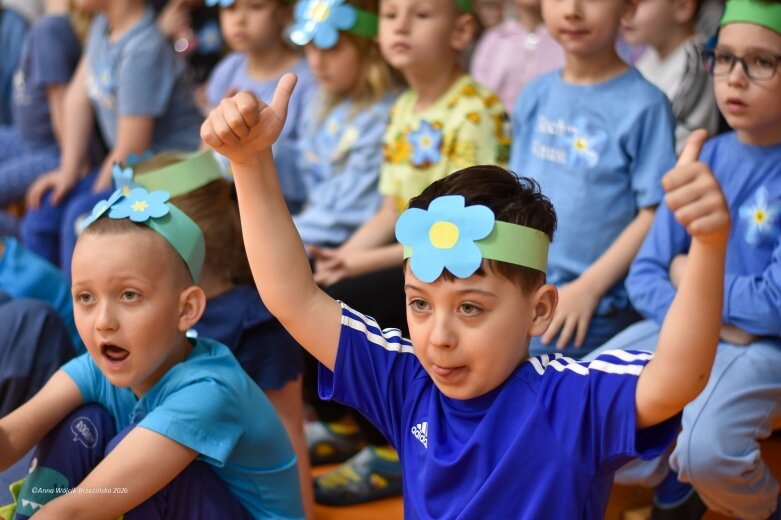  15 maja. Dzień Niezapominajki 