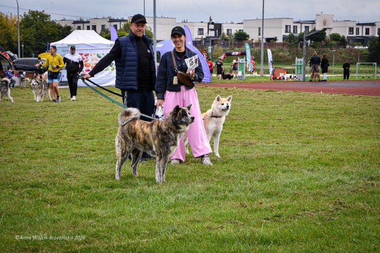  K9B nad Zalewem Zadębie. Człowiek i pies na jednej trasie 
