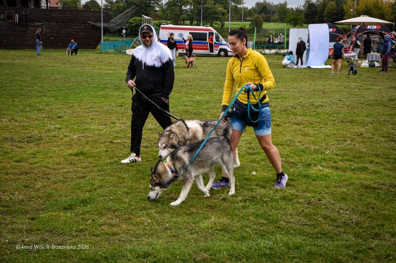  K9B nad Zalewem Zadębie. Człowiek i pies na jednej trasie 