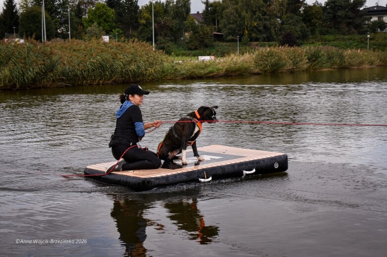  K9B nad Zalewem Zadębie. Człowiek i pies na jednej trasie 
