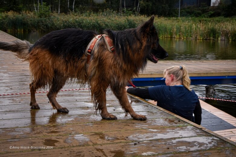  K9B nad Zalewem Zadębie. Człowiek i pies na jednej trasie 