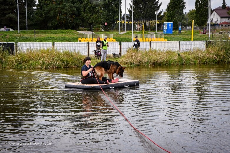  K9B nad Zalewem Zadębie. Człowiek i pies na jednej trasie 