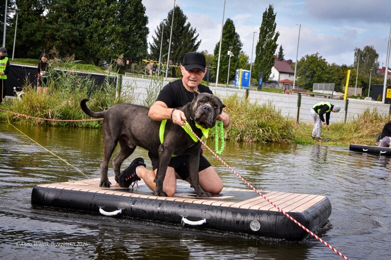  K9B nad Zalewem Zadębie. Człowiek i pies na jednej trasie 